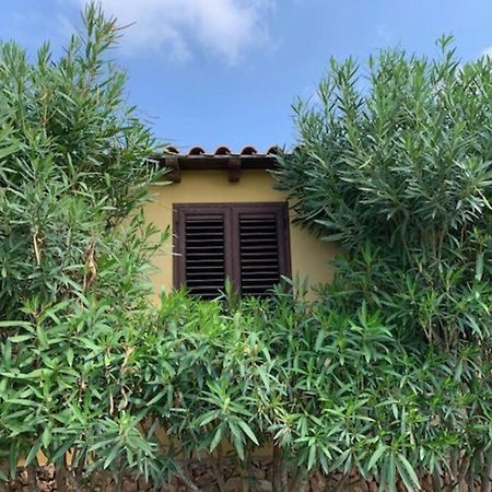 Villa Maveda, Un Dammuso Immerso Nel Verde Lampedusa Extérieur photo