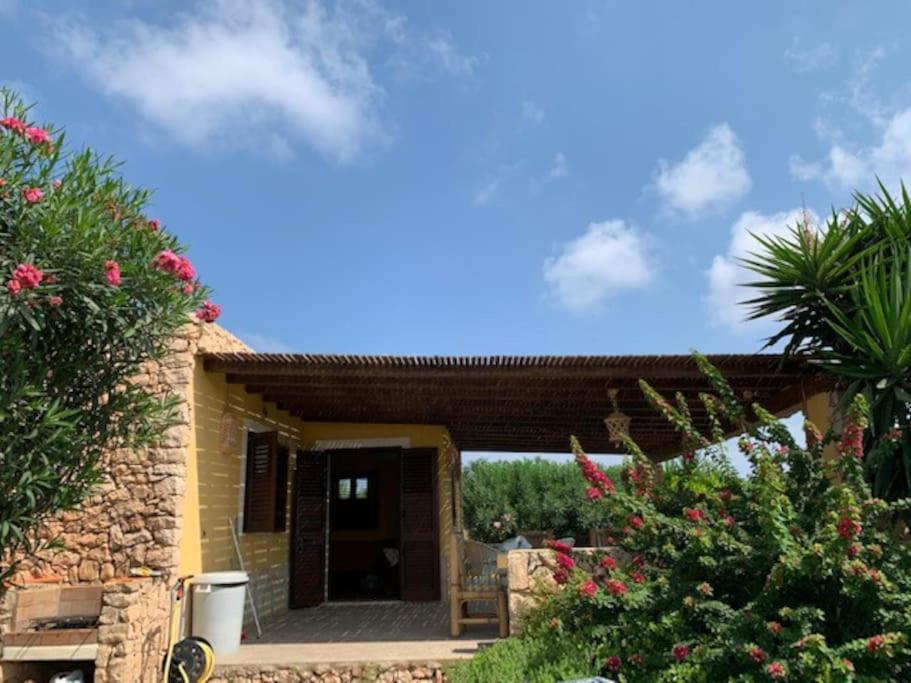 Villa Maveda, Un Dammuso Immerso Nel Verde Lampedusa Extérieur photo