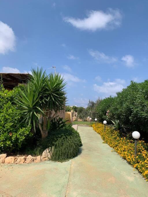 Villa Maveda, Un Dammuso Immerso Nel Verde Lampedusa Extérieur photo